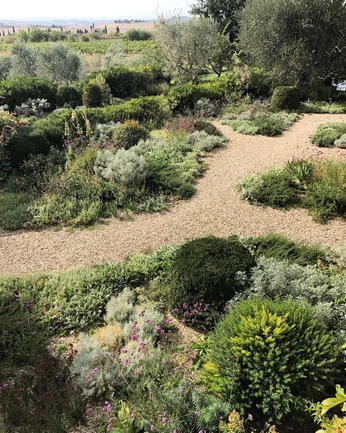 A cover of "Organico" cluster. The owner is danibarrap. The cluster consists of 43 elements.