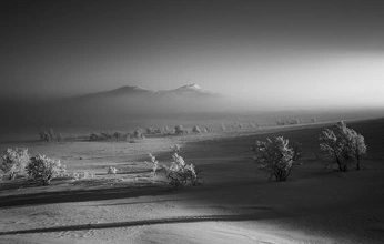 A cover of "My Instagram @hanlov" cluster. The owner is hanlov. The cluster consists of 197 elements.