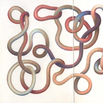 A cover of "Snake" cluster. The owner is eye.kim. The cluster consists of 2 elements.