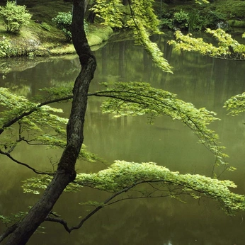 A cover of "cool" cluster. The owner is mel.mp4. The cluster consists of 174 elements.