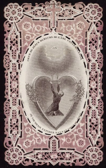 A cover of "Random" cluster. The owner is alynnavarrete. The cluster consists of 2 elements.