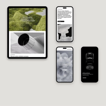 A cover of "THE PROJECT" cluster. The owner is kailinchase. The cluster consists of 310 elements.