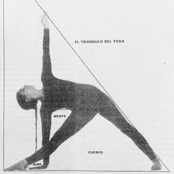 A Pinterest pin added by olivebranch on Feb 15, 2024. The author is Holly Anfinson. May present: arm, yoga the iyengar way, yoga sutras of patanjali, yoga: the iyengar way, luz sobre el yoga: yoga dipika.