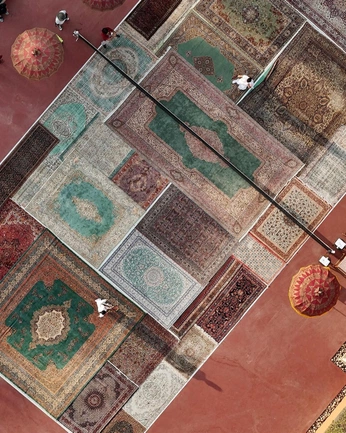 A cover of "Covoate" cluster. The owner is roco.coco. The cluster consists of 99 elements.