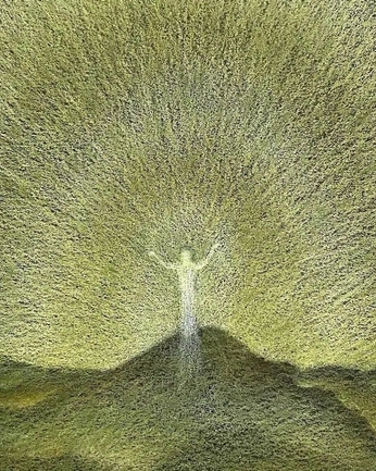 A cover of "self" cluster. The owner is halliek. The cluster consists of 10 elements.