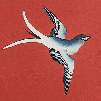 A cover of "sparrows" cluster. The owner is astraia. The cluster consists of 5 elements.