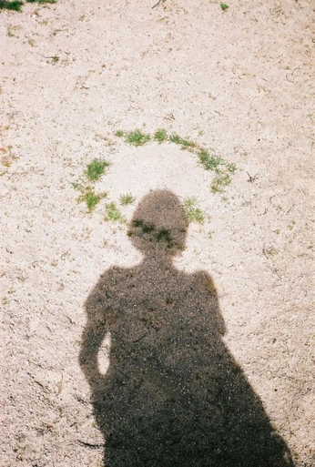 A cover of "SOLO OFFICE" cluster. The owner is marcasasmadrid. The cluster consists of 2 elements.