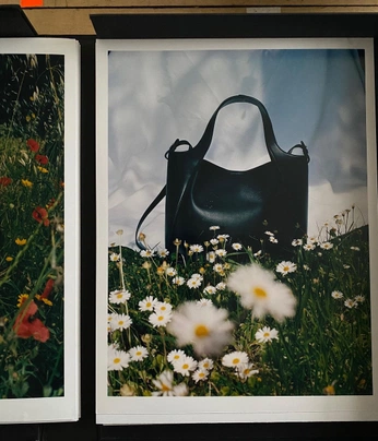 A cover of "sam nowell" cluster. The owner is ameliahawesphoto. The cluster consists of 6 elements.