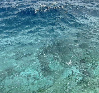 A cover of "December" cluster. The owner is irokostudio.lili. The cluster consists of 219 elements.