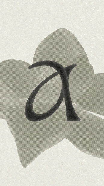 A cover of "Amara" cluster. The owner is skapaconmigo. The cluster consists of 14 elements.