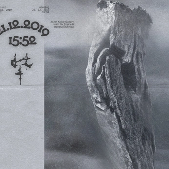 A cover of "Inspo" cluster. The owner is shaun. The cluster consists of 285 elements.