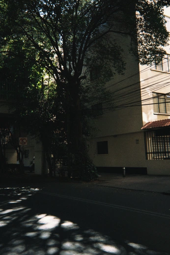 A cover of "Mio" cluster. The owner is mariaacuna. The cluster consists of 65 elements.