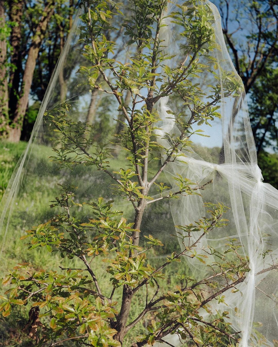 An Instagram carousel post added by aethereal.itf on Jun 05, 2024. The author is @atmos.