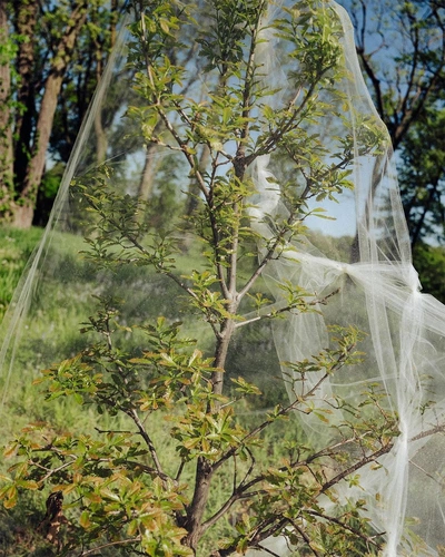 An Instagram carousel post added by aethereal.itf on Jun 05, 2024. The author is @atmos.