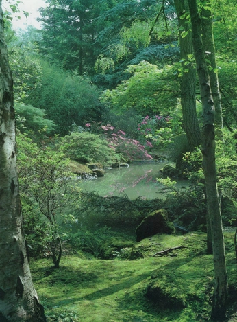 A cover of "nature" cluster. The owner is nalii. The cluster consists of 7 elements.