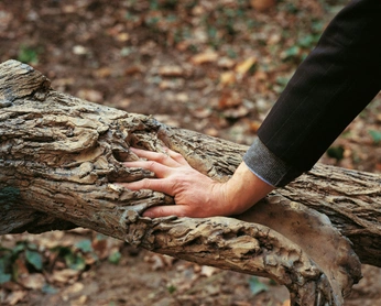 A cover of "one with nature" cluster. The owner is chloeofftheland. The cluster consists of 14 elements.