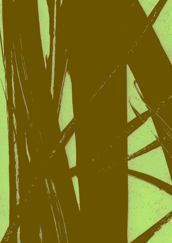 A cover of "Subtitling" cluster. The owner is maithel. The cluster consists of 1 element.