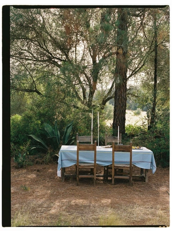 A cover of "Outdoor dining" cluster. The owner is puntarelle. The cluster consists of 1 element.