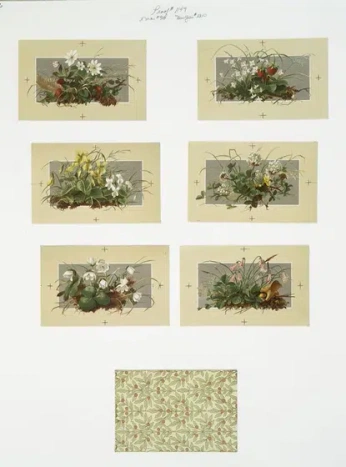 A cover of "Plants" cluster. The owner is kim4luna. The cluster consists of 4 elements.