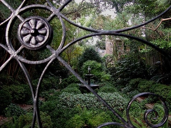 A cover of "In my head" cluster. The owner is elixiiiri. The cluster description is " spiderwebs goth garden". The cluster consists of 4 elements.