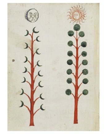 A cover of "things to print" cluster. The owner is hawky. The cluster consists of 49 elements.