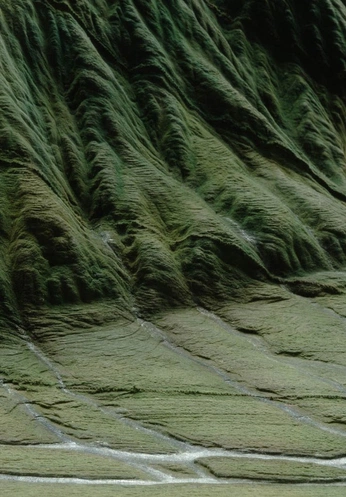 A cover of "textures" cluster. The owner is dancing.scribble. The cluster consists of 3 elements.