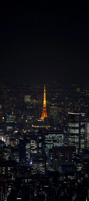 A cover of "Chibubu’s Photo Gallery" cluster. The owner is chibubu. The cluster consists of 2 elements.