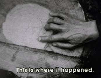 A cover of "Cin" cluster. The owner is awonazabal. The cluster consists of 5 elements.