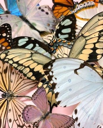 A cover of "Fondos para las paginas" cluster. The owner is dumptrashproyect. The cluster consists of 67 elements.