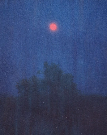 A cover of "Night series" cluster. The owner is lindsaysickler. The cluster consists of 19 elements.