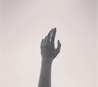 A cover of "hand" cluster. The owner is wamela. The cluster consists of 4 elements.