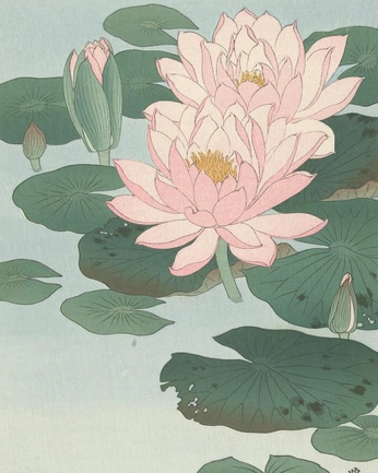 A cover of "Lotus" cluster. The owner is mr.wil. The cluster consists of 4 elements.