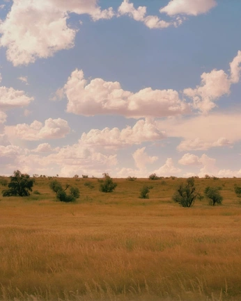 A cover of "Nomads" cluster. The owner is poseradu. The cluster consists of 50 elements.