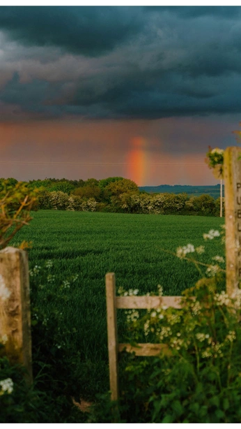 A cover of "life" cluster. The owner is gibbigoo. The cluster consists of 15 elements.