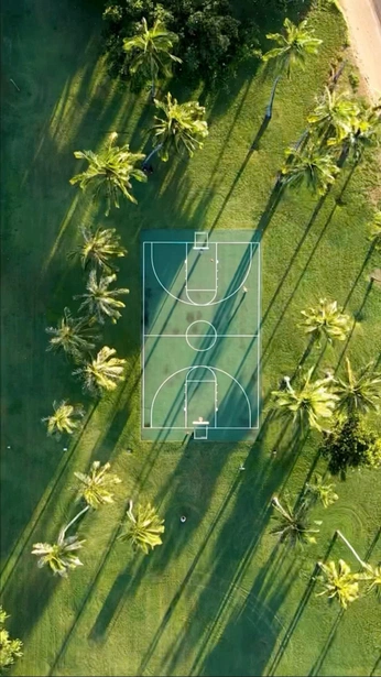 A cover of "Tropical Sports" cluster. The owner is mow.works. The cluster consists of 4 elements.