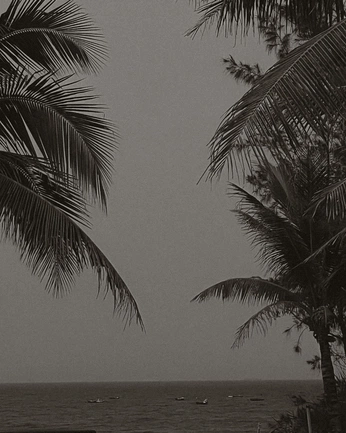 A cover of "First Quarter" cluster. The owner is moonpositions. The cluster consists of 2 elements.