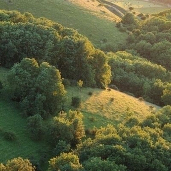 A cover of "concept" cluster. The owner is loooopy. The cluster consists of 483 elements.