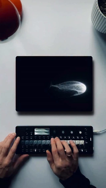 A cover of "OP-XY inspo" cluster. The owner is scarabla. The cluster consists of 2 elements.