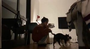 Larissa Fogaça avatar