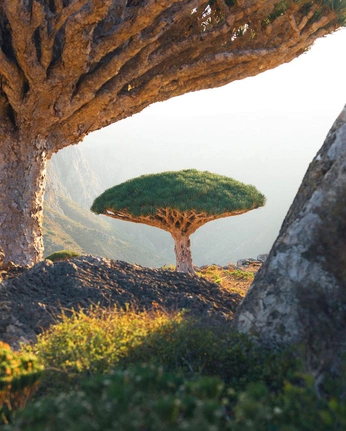 A cover of "World" cluster. The owner is arthurpkrt. The cluster consists of 1 element.