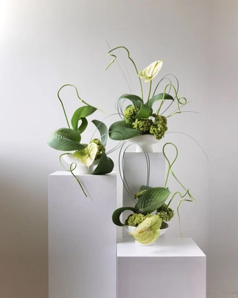 A cover of "Florals" cluster. The owner is danaime. The cluster consists of 6 elements.