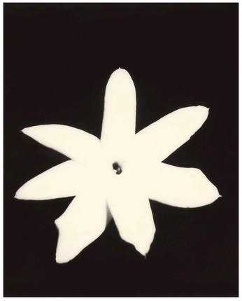 A cover of "muted elements" cluster. The owner is klydoh. The cluster consists of 5 elements.