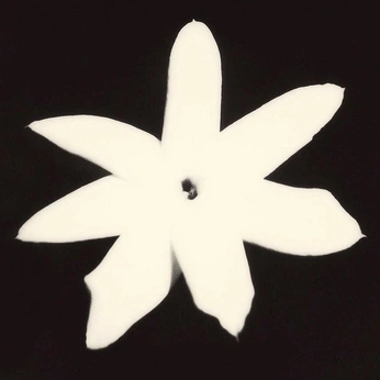 A cover of "Conocimiento Ancestral" cluster. The owner is murphymovola. The cluster consists of 9 elements.