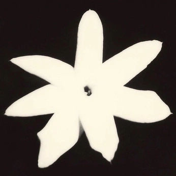 A cover of "cold and quiet" cluster. The owner is marylang. The cluster consists of 22 elements.