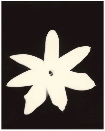 A cover of "gardenne" cluster. The owner is elikem. The cluster consists of 20 elements.