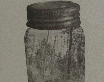 A cover of "essentia" cluster. The owner is esenciatelier. The cluster description is "Esencia Atelier". The cluster consists of 8 elements.