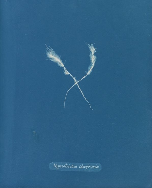 An Instagram carousel post added by ch1p666 on Mar 17, 2025. The author is @publicdomainrev.