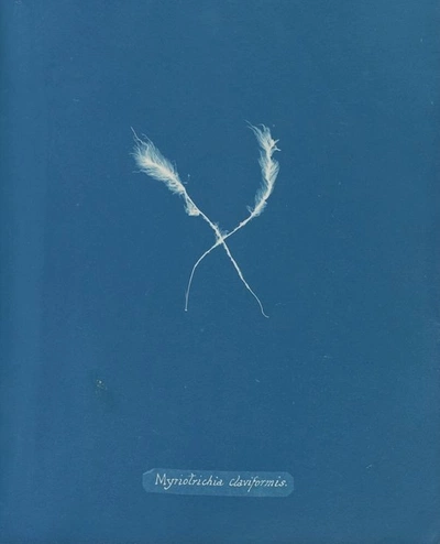 An Instagram carousel post added by ch1p666 on Mar 17, 2025. The author is @publicdomainrev.