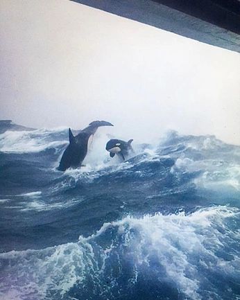 A cover of "navier stoked" cluster. The owner is matbison. The cluster consists of 15 elements.