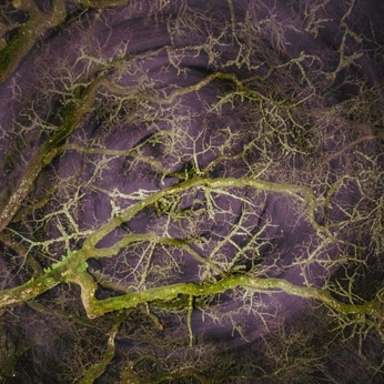 A cover of "my sweet" cluster. The owner is rosheai. The cluster consists of 31 elements.